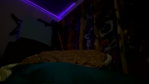 sohan730903 online show from 02-15-26, 07:51