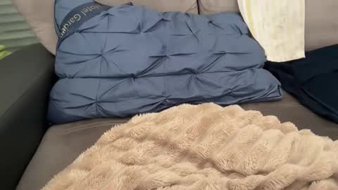 Snapshot of sombre_sdelices chatting on 02-28-26, 11:11 Tayla online show from 02-28-26, 11:11