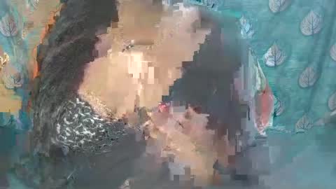 Sophia Tamil online show from 02-24-25, 08:38