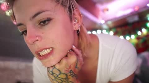 Snapshot of sophie_lovely chatting on 02-19-25, 05:27 derpy derpington online show from 02-19-25, 05:27