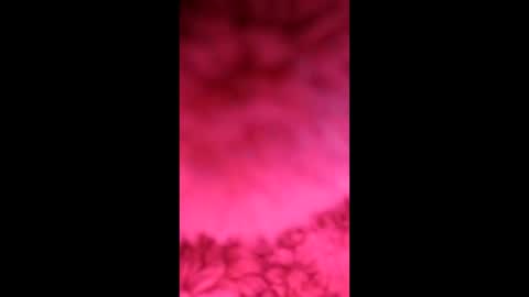 sophiestar735 online show from 02-07-26, 06:11