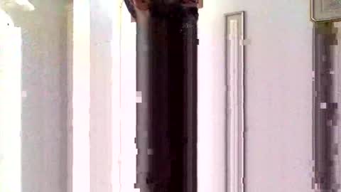 Sorfo online show from 01-15-26, 10:31