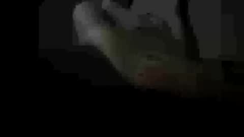 soulsurfer1985 online show from 03-11-26, 08:42