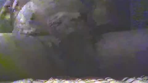 Snapshot of southgolan chatting on 03-04-25, 07:32 Golan online show from 03-04-25, 07:32