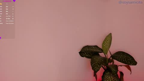 Snapshot of soysamicita_ chatting on 12-17-24, 08:34 Sami Diaz online show from 12-17-24, 08:34