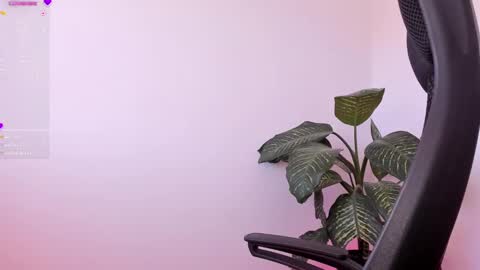 Snapshot of soysamicita_ chatting on 01-07-25, 01:57 Sami Diaz online show from 01-07-25, 01:57