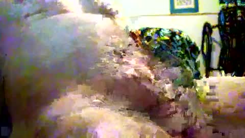 sparkybig127 online show from 12-07-24, 04:25