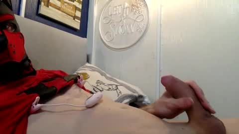 Spidey Pup online show from 12-26-24, 10:09