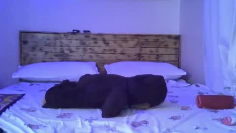 Splasher online show from 10-25-25, 11:29