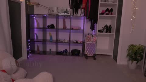 Snapshot of spr_abby chatting on 12-30-24, 04:40 Abby online show from 12-30-24, 04:40