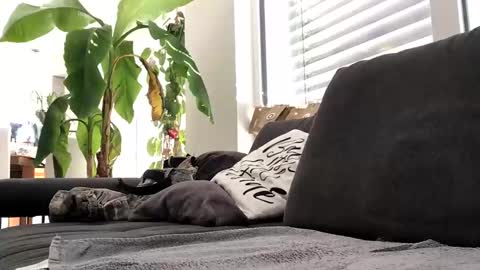 Spritzer669 online show from 12-13-24, 12:28