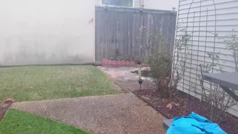 srtxshow online show from 02-05-25, 03:20