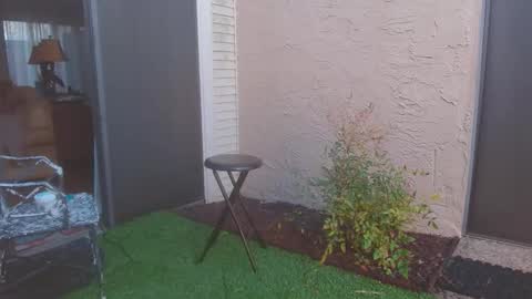 srtxshow online show from 03-13-26, 11:33