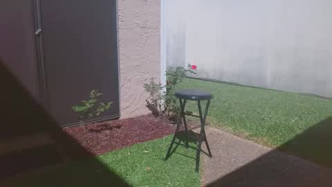 srtxshow online show from 03-14-26, 04:34