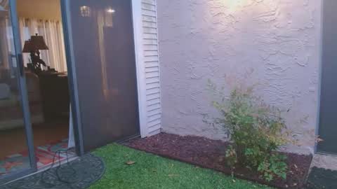 srtxshow online show from 04-04-26, 12:02