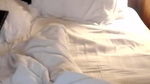 st8llion online show from 01-24-25, 07:19