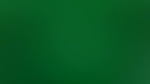 stacysquirtle online show from 02-04-26, 12:00