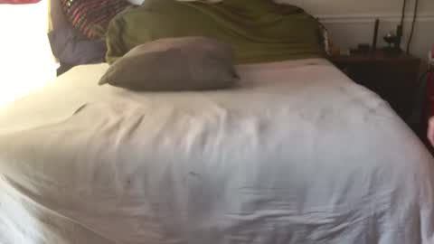 staloney online show from 02-10-26, 03:49