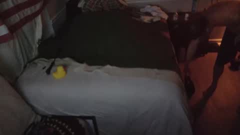 staloney online show from 02-15-26, 09:52