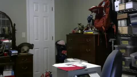 stasw20 online show from 01-25-25, 03:09