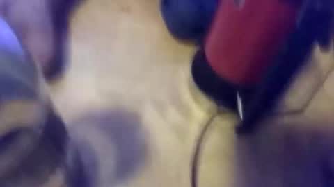 anube krato online show from 10-19-25, 01:28