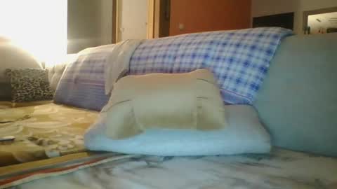 steki038434 online show from 01-12-25, 02:03