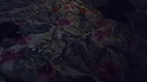 Snapshot of stel7621 chatting on 01-07-25, 06:56 Rocco-load online show from 01-07-25, 06:56