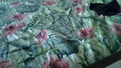 Snapshot of stel7621 chatting on 01-15-25, 03:39 Rocco-load online show from 01-15-25, 03:39