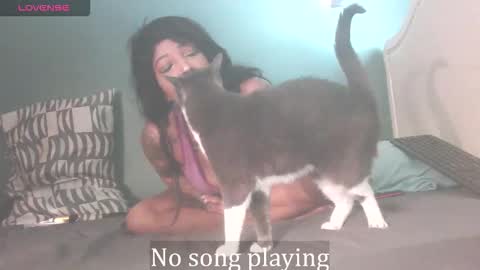 Stella Clitella online show from 10-03-25, 11:40