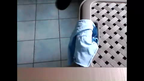 Snapshot of stevenx1974 chatting on 03-08-26, 09:02 stevenx1974 online show from 03-08-26, 09:02