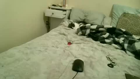 Gem online show from 03-06-26, 10:28