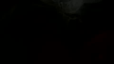 stockungs online show from 02-14-25, 10:38