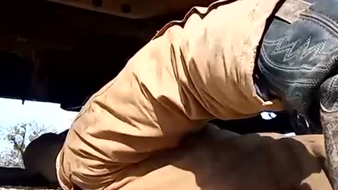 Oval2022 online show from 01-01-25, 06:16