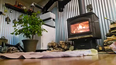 stricktlypleasure online show from 01-04-25, 07:55