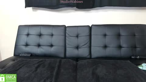 Snapshot of studiowahines chatting on 01-29-25, 10:11 StudioWahines online show from 01-29-25, 10:11