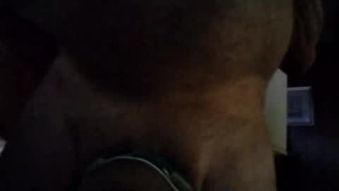 stuffamuffagus69 online show from 11-16-25, 01:00