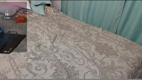 stupid little kitten online show from 12-06-24, 09:43