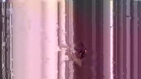 ControlMeViaTeamviewer online show from 12-03-24, 10:28