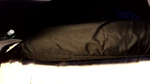 Snapshot of submissiveforu chatting on 06-17-26, 03:35 between my legs online show from 06-17-26, 03:35