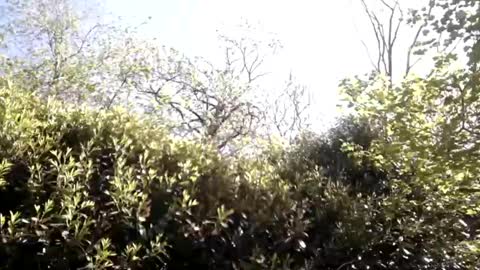 sucrette5629 online show from 04-25-26, 01:14