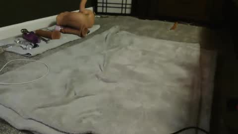 Suga cookie online show from 12-09-24, 04:56