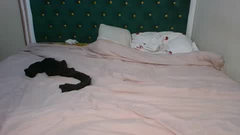 sugarboogers_ online show from 02-12-26, 02:50