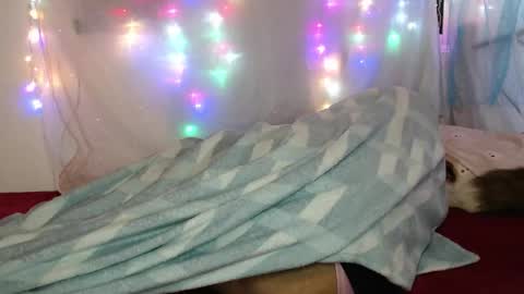 zuley online show from 03-04-26, 02:17