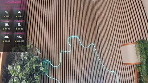 Nelly online show from 02-02-25, 03:39