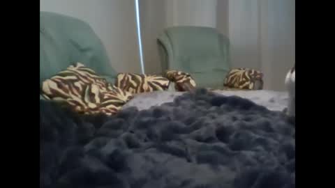 Snapshot of suni_bitch chatting on 03-07-25, 05:08 suni online show from 03-07-25, 05:08