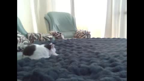 Snapshot of suni_bitch chatting on 03-10-25, 11:42 suni online show from 03-10-25, 11:42