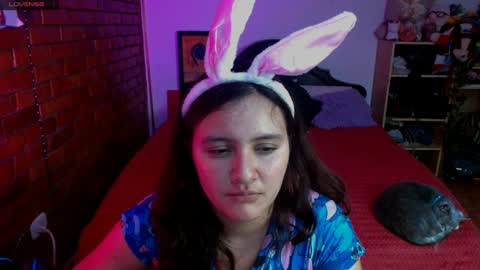 sunny online show from 12-13-24, 07:47