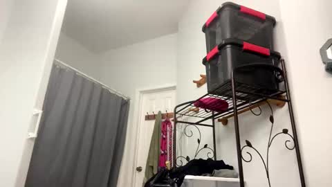 Sunny Clementine online show from 11-04-25, 10:09