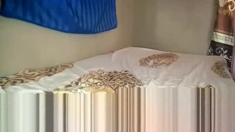 Snapshot of sunnyjohn447 chatting on 03-09-25, 01:15 Sunnyblack2 online show from 03-09-25, 01:15