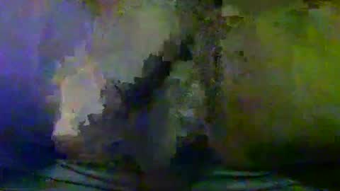 Snapshot of sunnyjohn447 chatting on 09-25-25, 10:52 Sunnyblack2 online show from 09-25-25, 10:52